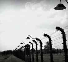 История `Освенцима`. Кто освобождал `Освенцим`?