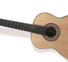 Gitara se sastoji od: glavnih dijelova akustičnih i električnih gitara