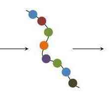 Koji su jednostavni organski spojevi proteini? Struktura i svojstva funkcija