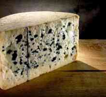 Koje vrste mlijeka dolazi od Roquefortovog sira - tehnologije proizvodnje i značajki