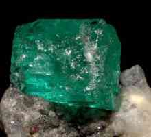 Emerald (kamen): svojstva, znak zodijaka. Čarobna svojstva smaragda za Bika, Ribe, Jarac, Ovan, Rak