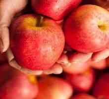 Appleova prehrana: recenzije i rezultati tankih, fotografija