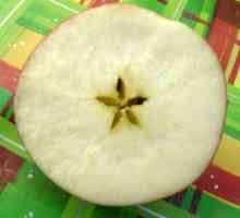 Jabuke vrste `anport` - simbol Kazahstana