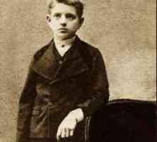 Jan Sibelius: biografija, djela. Koliko je simfonija pisalo skladatelj?
