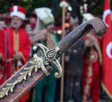 Янычар - это кто? Регулярная пехота Османской империи
