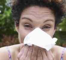 Japanski filteri za nos od alergija