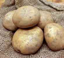Varnalizacija krumpira prije sadnje u tlu