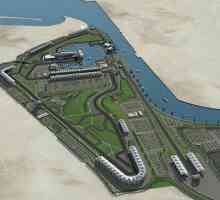 Yas Marina je utrka u Abu Dhabiju. Circuit Yas Marina