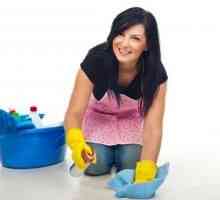 Učinkovito sredstvo za čišćenje tepiha kod kuće