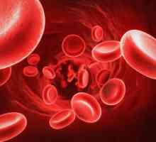 Učinkovite tablete za povećanje hemoglobina