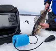 Zvučnik za zimski ribolov: značajke, vrste