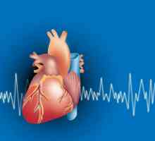 EKG: norma osnovnih pokazatelja