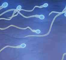 IVF s donorskim spermom: indikacije, značajke, recenzije