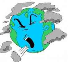 Problem okoliša je ... Uzroci problema okoliša. Ekološki problemi Zemlje