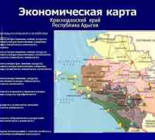 Gospodarstvo Krasnodarske regije: glavne sfere