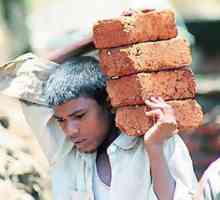 Iskorištavanje dječjeg rada: zakonodavstvo, značajke i zahtjevi