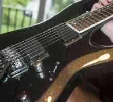 Electric Guitar Cort: pregled, modeli, specifikacije i recenzije