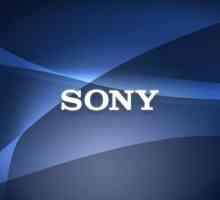 Sony e-knjiga: specifikacije, opis, recenzije, fotografije