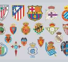 Obilježja nogometnih klubova i njihova povijesna važnost