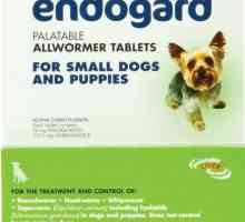 `Endogard` za pse: pouku, svojstva i doziranje