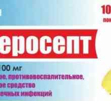 "Enterosept": upute za uporabu, indikacije. Lijekovi za proljev u odraslih osoba