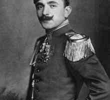 Enver Pasha: Biografija