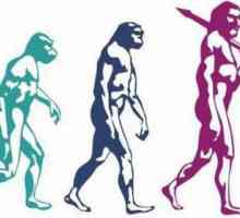 Evolucija u biologiji je ... Povijest razvoja