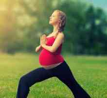 Yoga za trudnice (1. trimestar). Joga kod kuće