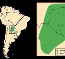Južna Amerika: nizina La Plata