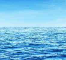 Što ocean sanja o? Značenje i tumačenje sna