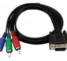 VGA-RCA adapter kabel: opis i svrha