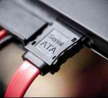 Kabeli i adapteri. SATA kabel tvrdog diska