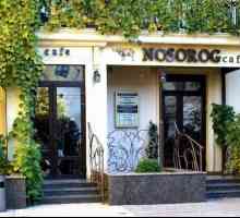 Cafe `Rhinoceros` Volgograd: Adresa i recenzije