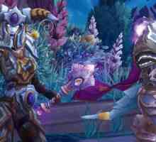 Kako igrati World of Warcraft besplatno: plaćanje zlatom i piratski poslužitelji