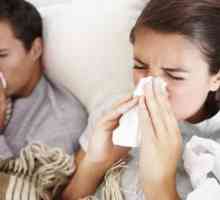 Kako brzo liječiti gripe kod kuće? Folk lijekovi. liječenje