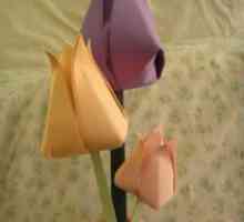 Kako napraviti tulipan papira: naša majstorska klasa će nam reći