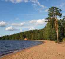 Kako doći: Jezero Krasavitsa. Karta pojedinosti Lenjingradskog kraja