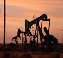 Kako se proizvodi ulje? Gdje oni izlučuju ulje? Cijena nafte