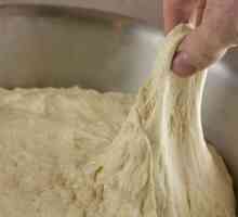 Kako pripremiti kvasac tijesto za steamed knedle? Dvije recepte
