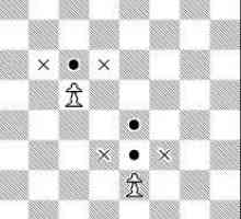 Как ходят фигуры в шахматах: особенности перемещений