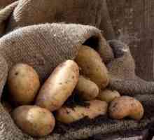 Kako skladištiti krumpir u podrumu: u mrežama, vrećama, labav