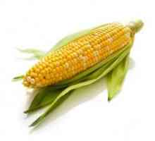 Kako čuvati kukuruz na kuglu? Učimo