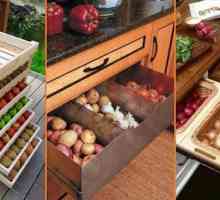 Kako uskladištiti povrće u stanu tako da nema sredstava?