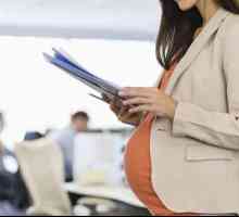 Kako koristiti maternitetski kapital? Maternity capital - hipoteka