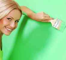 Kako se riješiti mirisa boje nakon popravka: prozračivanje prostorije, mokro čišćenje