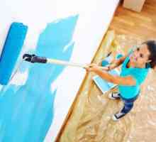 Kako slikati zid s valjkom: savjet majstora