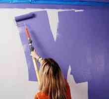 Kako prekrasno slikati zidove vlastitim rukama: značajke, zanimljive ideje i preporuke