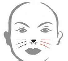 Kako crtati mačku na licu. Upute i preporuke