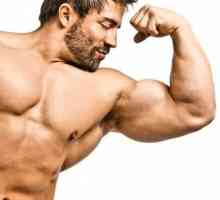 Kako izgraditi mišiće što je brže moguće?