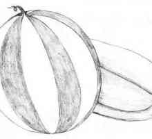 Kako nacrtati lubenicu kako bi izgledao kao stvaran